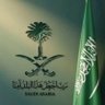حسن المالكي 的头像