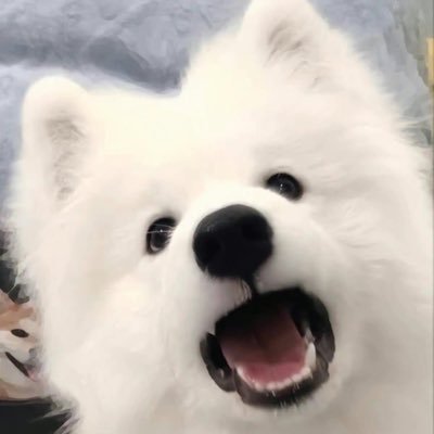 babykhunker's profile picture