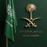 عبدالعزيز بن محمد 的头像