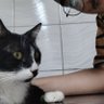 ORIUNTE's profile picture