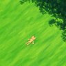 Profilbild von 心聚心散follow24