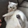 Mike profil fotoğrafı
