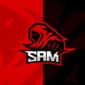 Фото профиля Sam