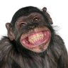 𝗦𝗮𝗰𝗵𝗶𝗻 𝗞𝘂𝗺𝗮𝗿 2.O's profile picture