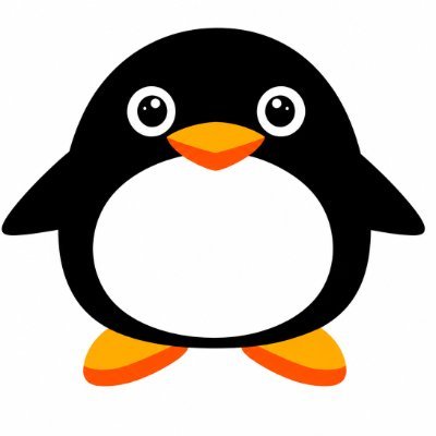 BOPPO's profile picture