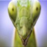 Profilbild von pico_19990