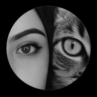 Kübra's profile picture