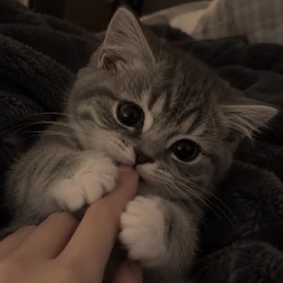 Religo00vv's profile picture
