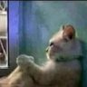 𝚁𝚘𝚠 s𝚊𝚢 𝙸𝚗 profil fotoğrafı