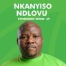 Фото профиля Nkanyiso Ndlovu