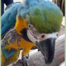 Nadim profil fotoğrafı