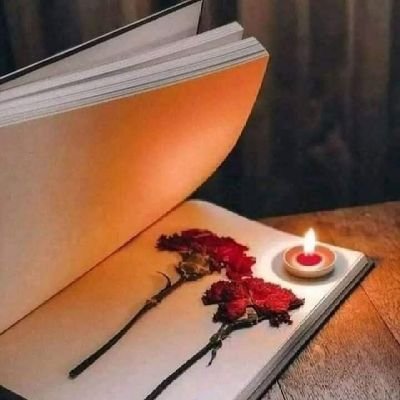 UroojFayyaz's profile picture