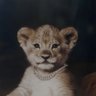 𝑴7 profil fotoğrafı