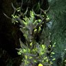 ☼ Wisteria ☾ 🎮💋 profil fotoğrafı