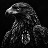 Profilbild von Black&White🦅🦅