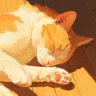Profilbild von mihir
