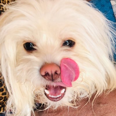 Re| elkhidi's profile picture