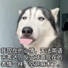 每天都那么懵逼's profile picture
