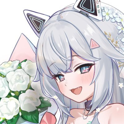 nekokaifuka22's profile picture