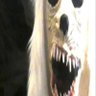 Profilbild von J