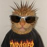 subject unknown's profile picture