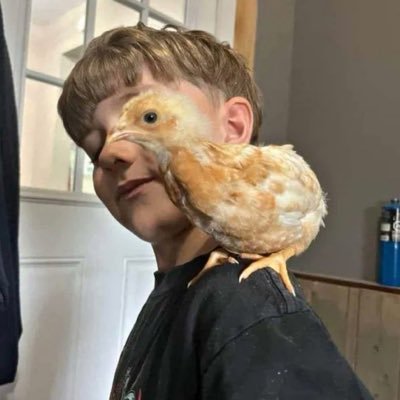 zombiesincali's profile picture