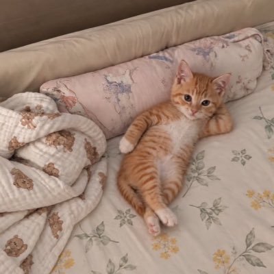 saranggeunom's profile picture