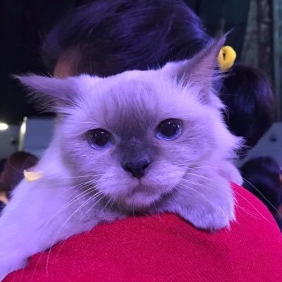 Muning🍦's profile picture