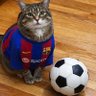 Profilbild von coco_barca