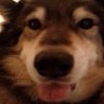 Profilbild von dakotazzz