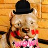 さくらい🔥♦️ profil fotoğrafı