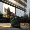 Yasemin's profile picture