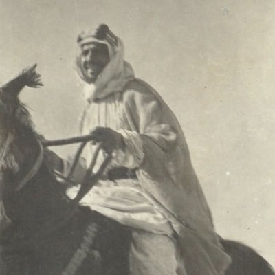 أبو يزيد بن معاوية 🇲🇾's profile picture