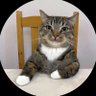 Profilbild von Suantum