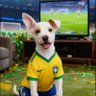 Vilcky negrão profil fotoğrafı
