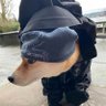 ๐ง's profile picture