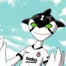 Beşiktaşlı Ditto's profile picture