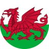 ScruffyAndIron 🏴's profile picture