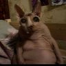 yac's profile picture
