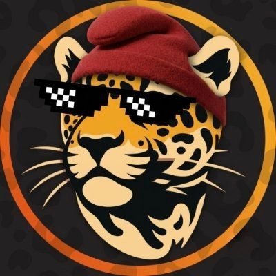 Onça Shorts's profile picture