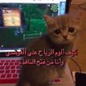 Profilbild von -