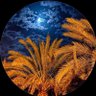 Profilbild von ,