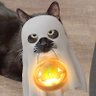 Profilbild von LizethTV