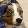 Profilbild von hudson