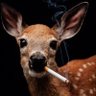 Profilbild von Deer