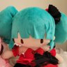 Фото профиля Nova 🔜 Miku Expo London