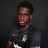Profilbild von berat🦅#pokuyusokhoca