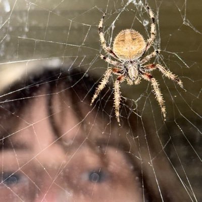 eve #2's profile picture