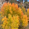 Фото профиля RockyMountainGuy