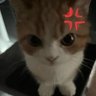 Akaname's profile picture